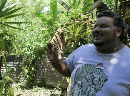 Girardin agricole Financ'ile plantation de vanille Ile de la Réunion